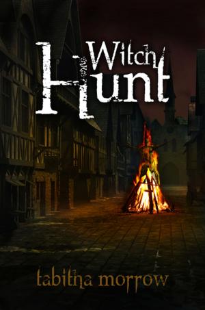 Cover of the book Witch Hunt by Colin Wilson