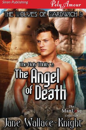 Book cover of The Holy Trinity 2: The Angel of Death