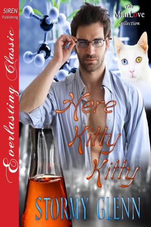 Cover of the book Here, Kitty Kitty by D. Morrissey