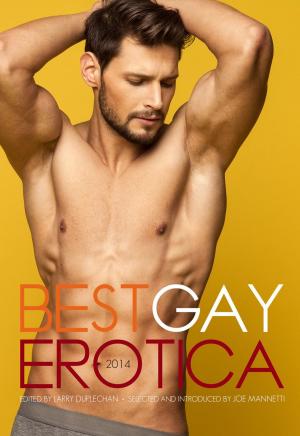 Cover of the book Best Gay Erotica 2014 by Laura Antoniou