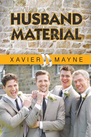 Cover of the book Husband Material by Cindy Hargreaves, Blythe Cooper, C Michael Fraze