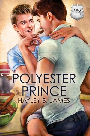Cover of the book Polyester Prince by Liv Olteano