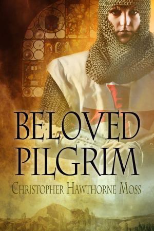 Book cover of Beloved Pilgrim