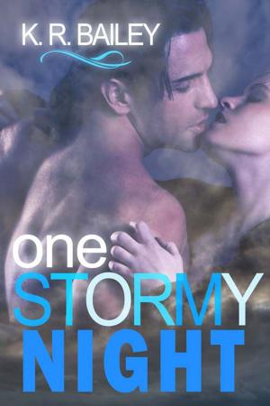 Cover of the book One Stormy Night by Tricia  Schneider