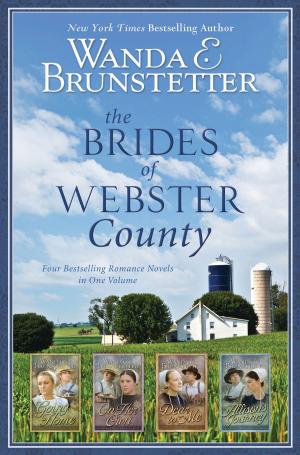 Cover of the book The Brides of Webster County by Margaret Brownley, Wanda E. Brunstetter, Jane Kirkpatrick, Kelly Eileen Hake, Liz Johnson, Liz Tolsma, Michelle Ule, Debra Ullrick, Erica Vetsch