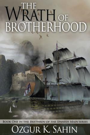 Cover of the book The Wrath of Brotherhood by Brenda Seabrooke