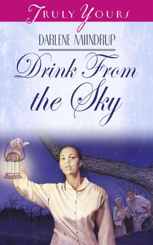 Cover of the book Drink From The Sky by Kathleen Y'Barbo