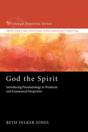 Cover of the book God the Spirit by Aída Besançon Spencer