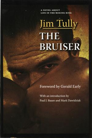 Cover of the book The Bruiser by Carolyn V. Platt