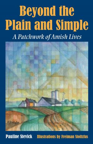 Cover of the book Beyond the Plain and Simple by Joseph L. Harsh