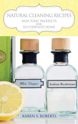 Cover of Natural Cleaning Recipes