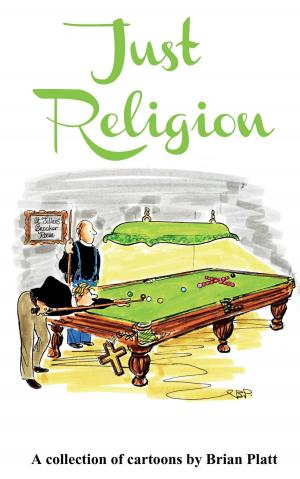 Cover of the book Just Religion by Jane Wenham-Jones