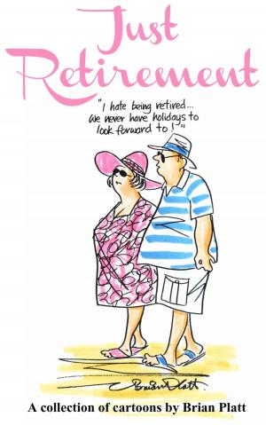 Cover of the book Just Retirement by Gill Sanderson