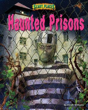 Cover of Haunted Prisons