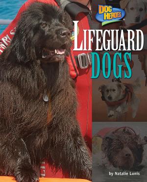 Cover of the book Lifeguard Dogs by Alex Giannini