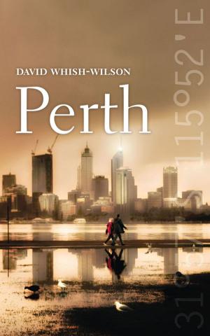 Cover of the book Perth by Andrew Tink