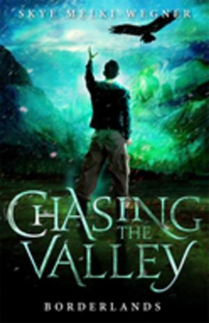 Cover of the book Chasing the Valley 2: Borderlands by Catherine Bateson