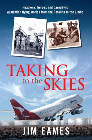 Cover of the book Taking to the Skies by Stephen Jackson, Karl Vernes