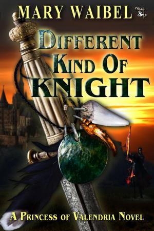 Cover of the book Different Kind of Knight by J. D. Waye