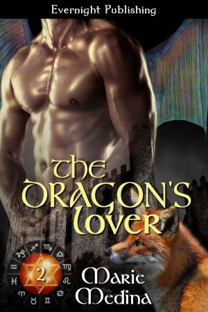 Cover of the book The Dragon's Lover by Megan Morgan