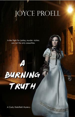 Cover of the book A Burning Truth by Chuck Walsh