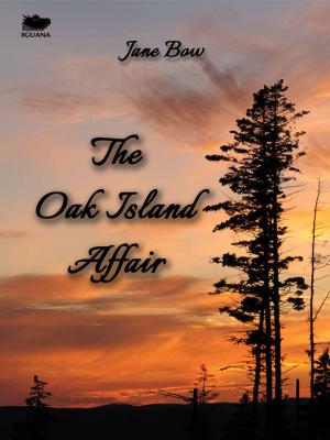 Book cover of The Oak Island Affair
