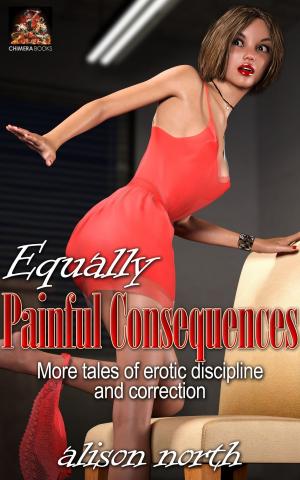 Cover of the book Equally Painful Consequences by Imelda Stark