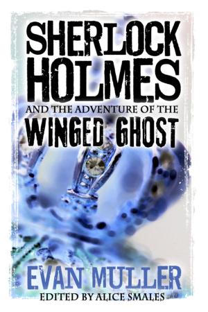 Cover of the book Sherlock Holmes and The Adventure of The Winged Ghost by T. Brian Mooney