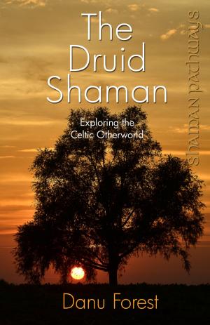 bigCover of the book Shaman Pathways - The Druid Shaman by 