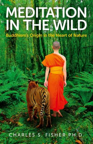 Cover of the book Meditation in the Wild by Tarthang Tulku