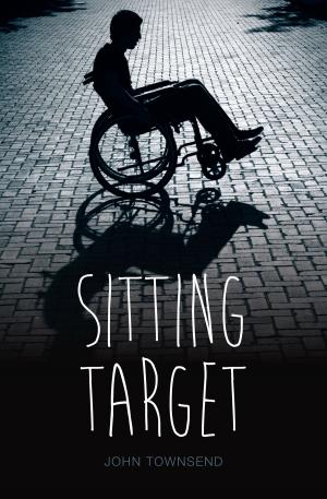 Cover of the book Sitting Target by Barbara Catchpole