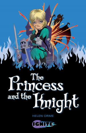 Cover of the book The Princess and the Knight by Ian MacDonald