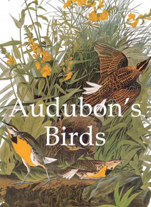 Cover of the book Audubon's Birds by Edmond de Goncourt