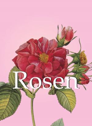 Cover of the book Rosen by Nina Kalitina, Nathalia Brodskaya