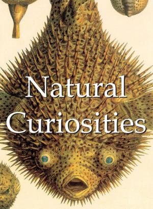 Cover of the book Natural Curiosities by Camille Flammarion