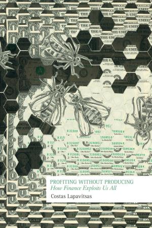 Cover of the book Profiting Without Producing by Kate Evans
