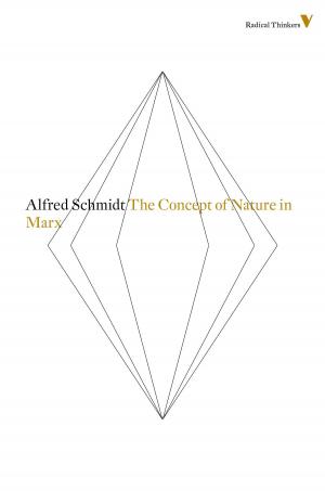 Cover of the book The Concept Of Nature In Marx by Eric Hazan