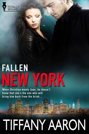 Cover of the book New York by T.A. Chase