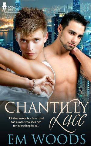 Cover of the book Chantilly Lace by Desiree Holt