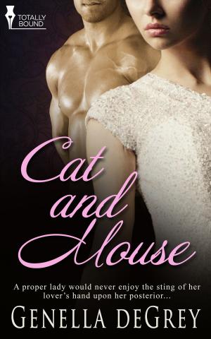 Cover of the book Cat and Mouse by Angel Martinez, Bellora Quinn