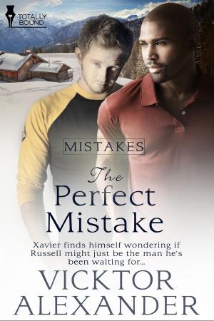 Cover of the book The Perfect Mistake by Natalie Dae