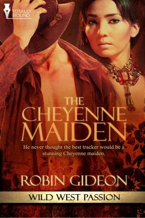 Cover of the book The Cheyenne Maiden by Liz Crowe