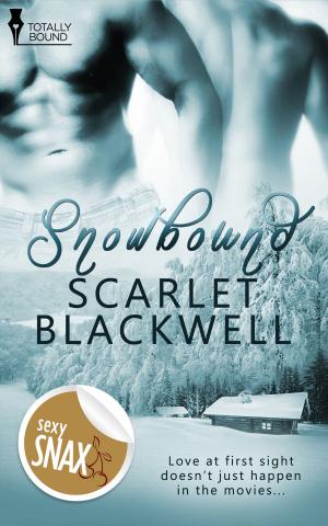 Cover of the book Snowbound by Alysha Ellis