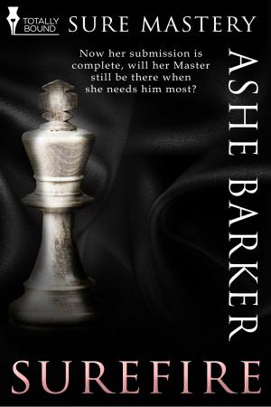 Cover of the book Surefire by Sean Michael