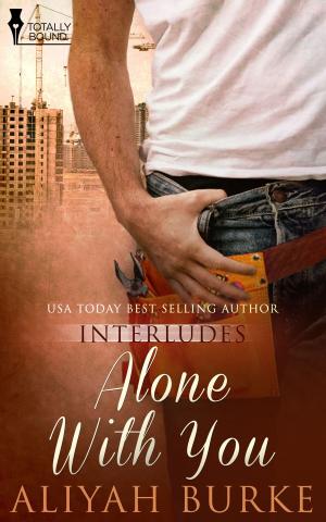 Cover of the book Alone With You by Lily Harlem