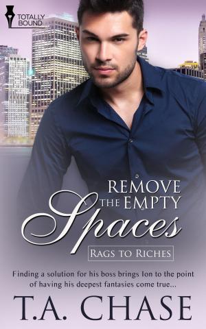 Cover of the book Remove the Empty Spaces by Kim Dare