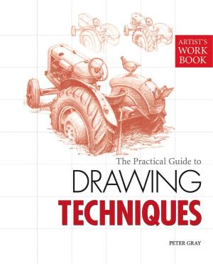 Book cover of The Practical Guide to Drawing Techniques