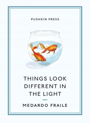 Cover of the book Things Look Different in the Light & Other Stories by Magdalena Tulli