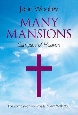 Cover of the book Many Mansions by Lynn Hackles