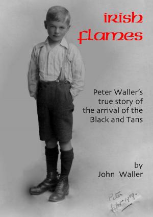 Book cover of Irish Flames